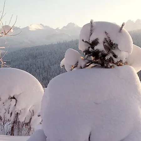 Widok Bukowina Tatrzanska